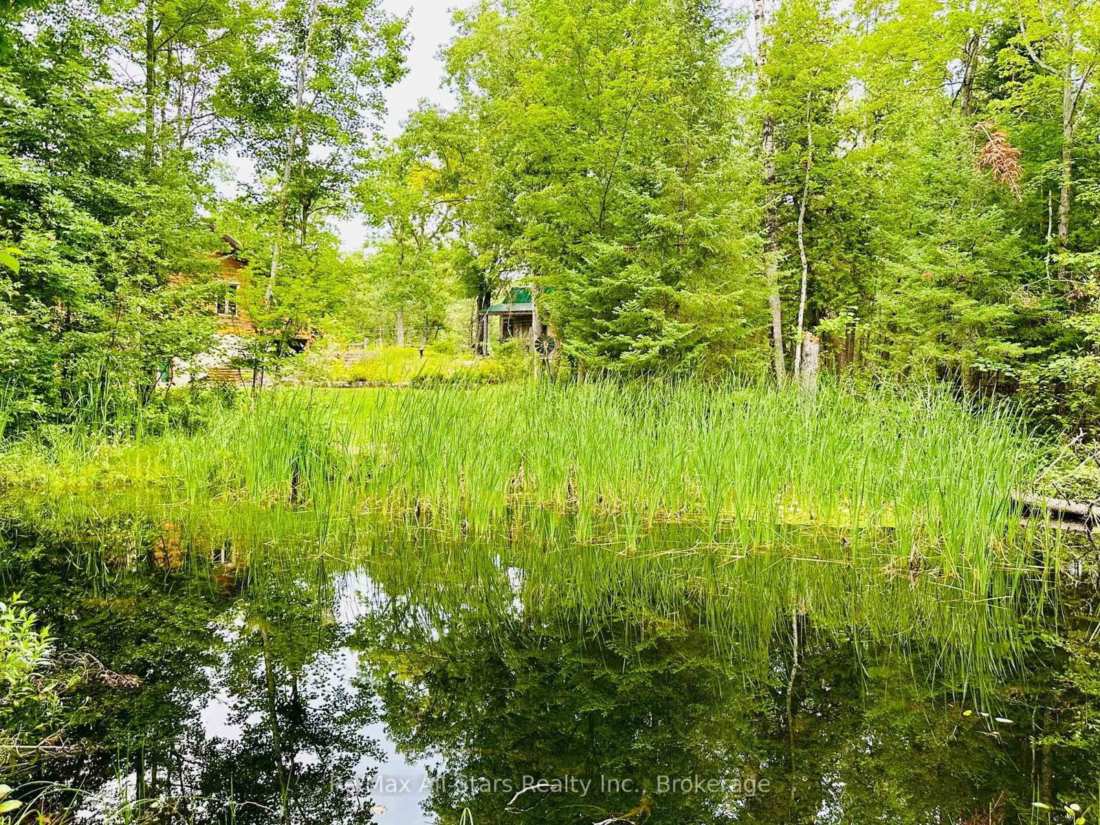 7140 Highway 28 • North Kawartha, ON photo 27