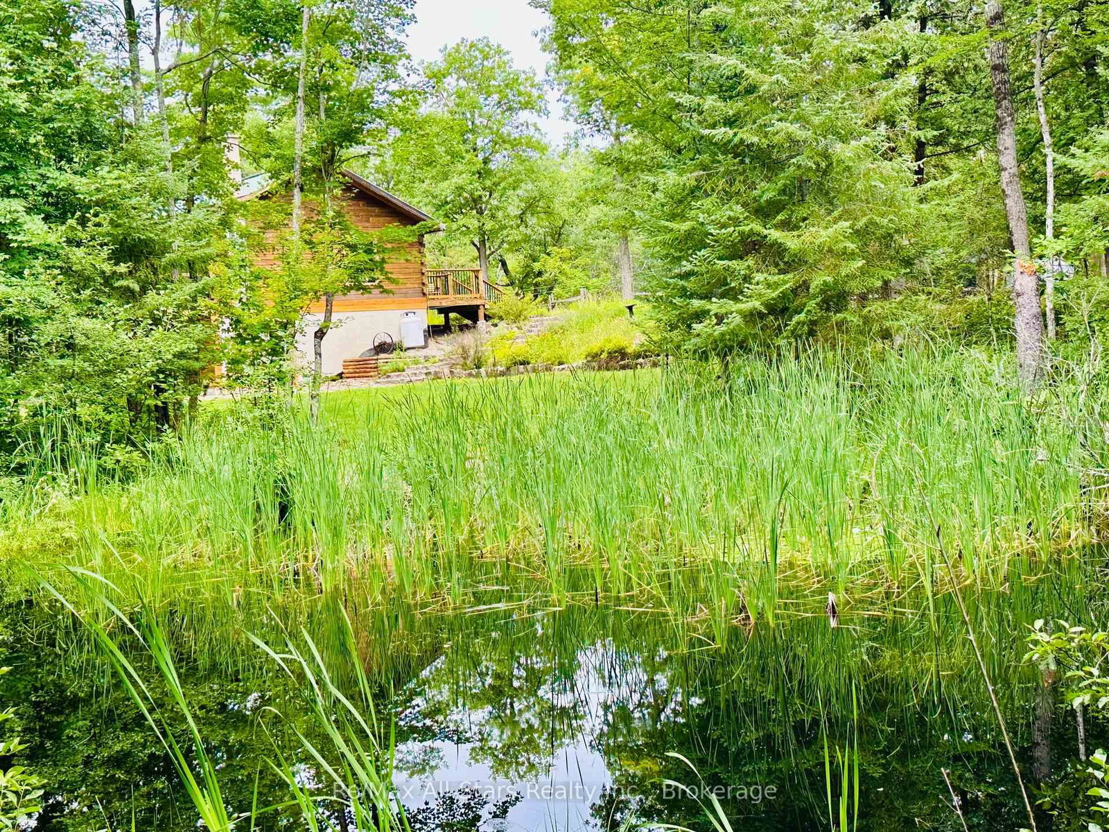 7140 Highway 28 • North Kawartha, ON photo 29