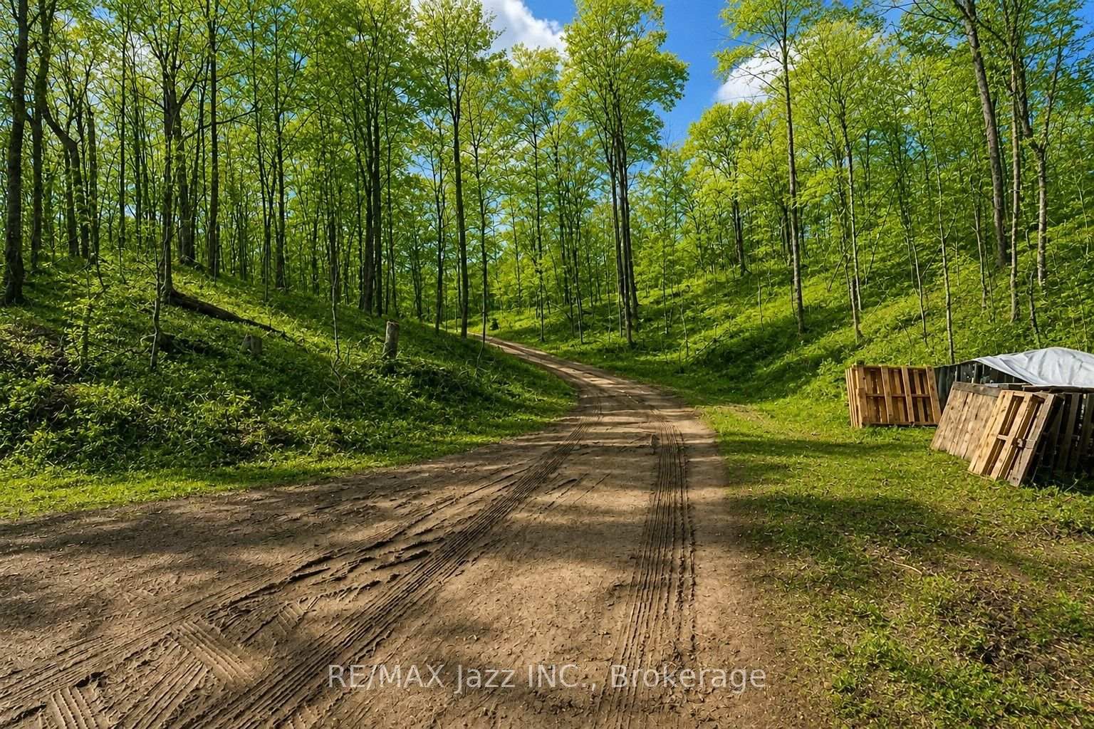 1091 Crystal Lake Road • Trent Lakes, ON photo 1