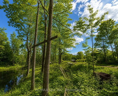 1091A Crystal Lake Road • Trent Lakes, ON photo 3