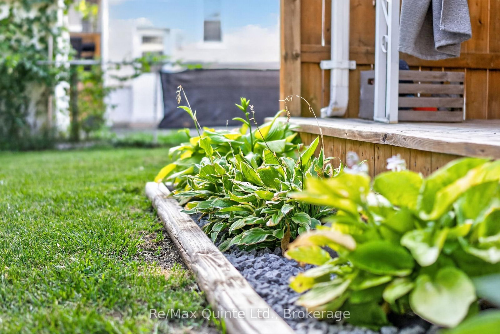 5 WILKINS Street • Belleville, ON photo 39