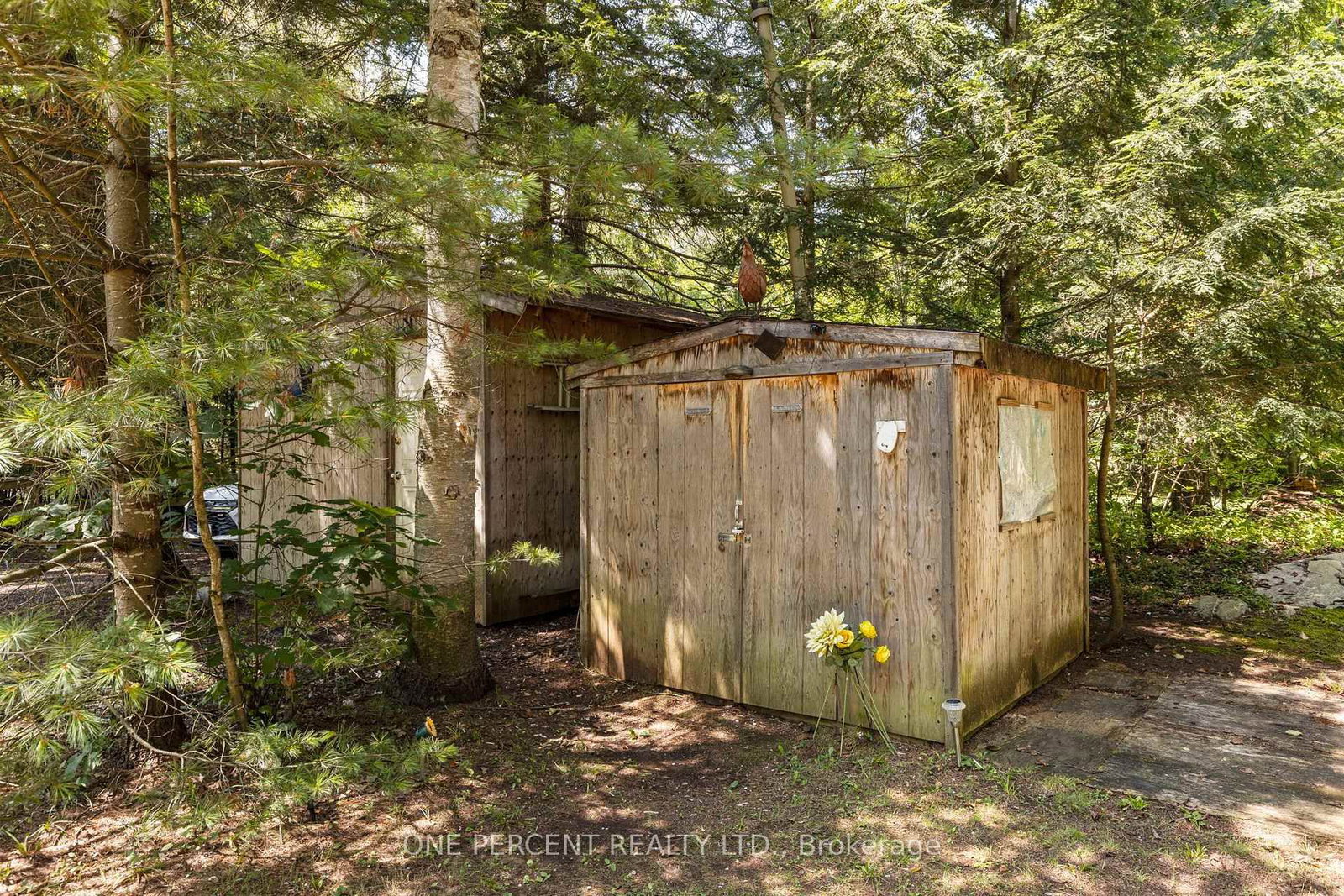 47 HEAD RIVER Lane • Kawartha Lakes, ON photo 21