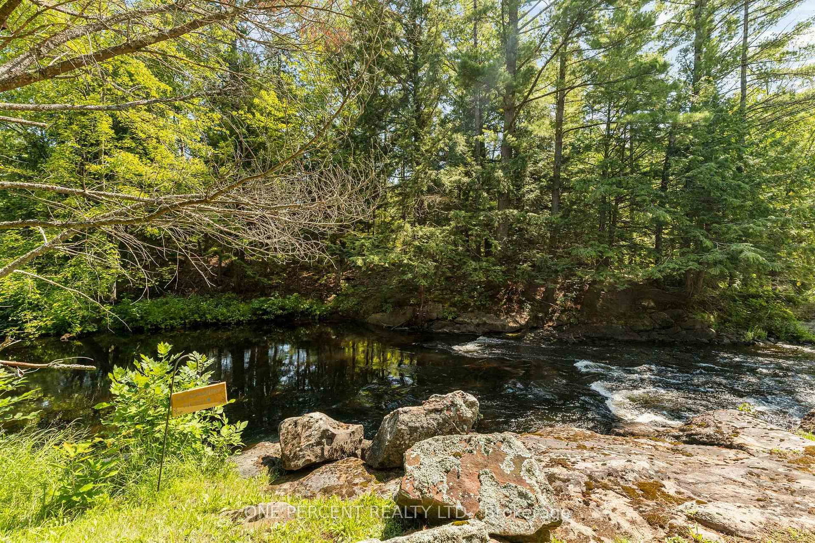 47 HEAD RIVER Lane • Kawartha Lakes, ON photo 26