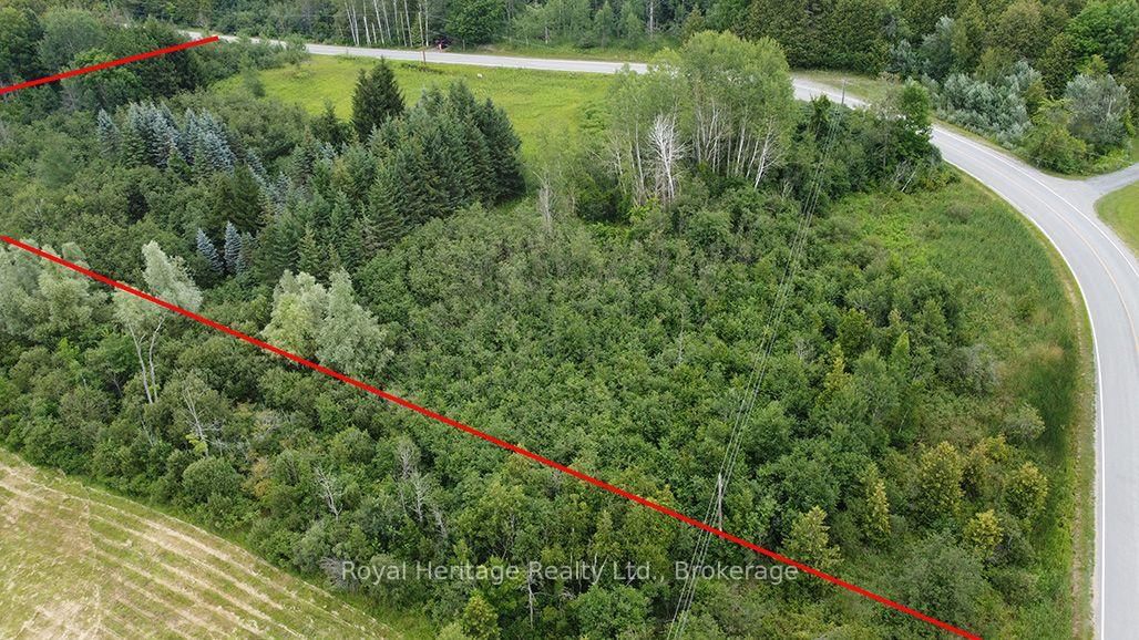 None Hollowview RD Road N • Stirling, ON photo 3