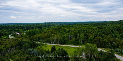 None Hollowview RD Road N • Stirling, ON photo 4