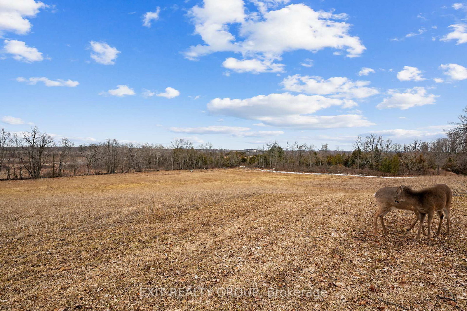 4006 Stirling Marmora Road • Stirling, ON photo 25
