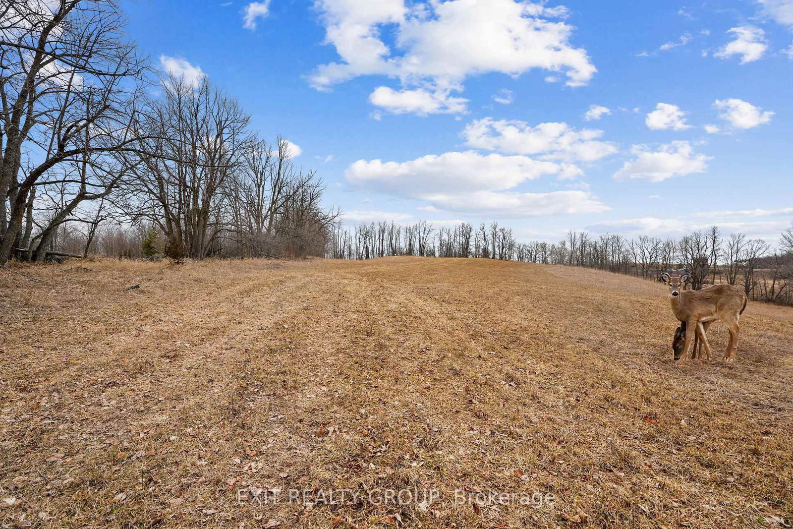 4006 Stirling Marmora Road • Stirling, ON photo 26