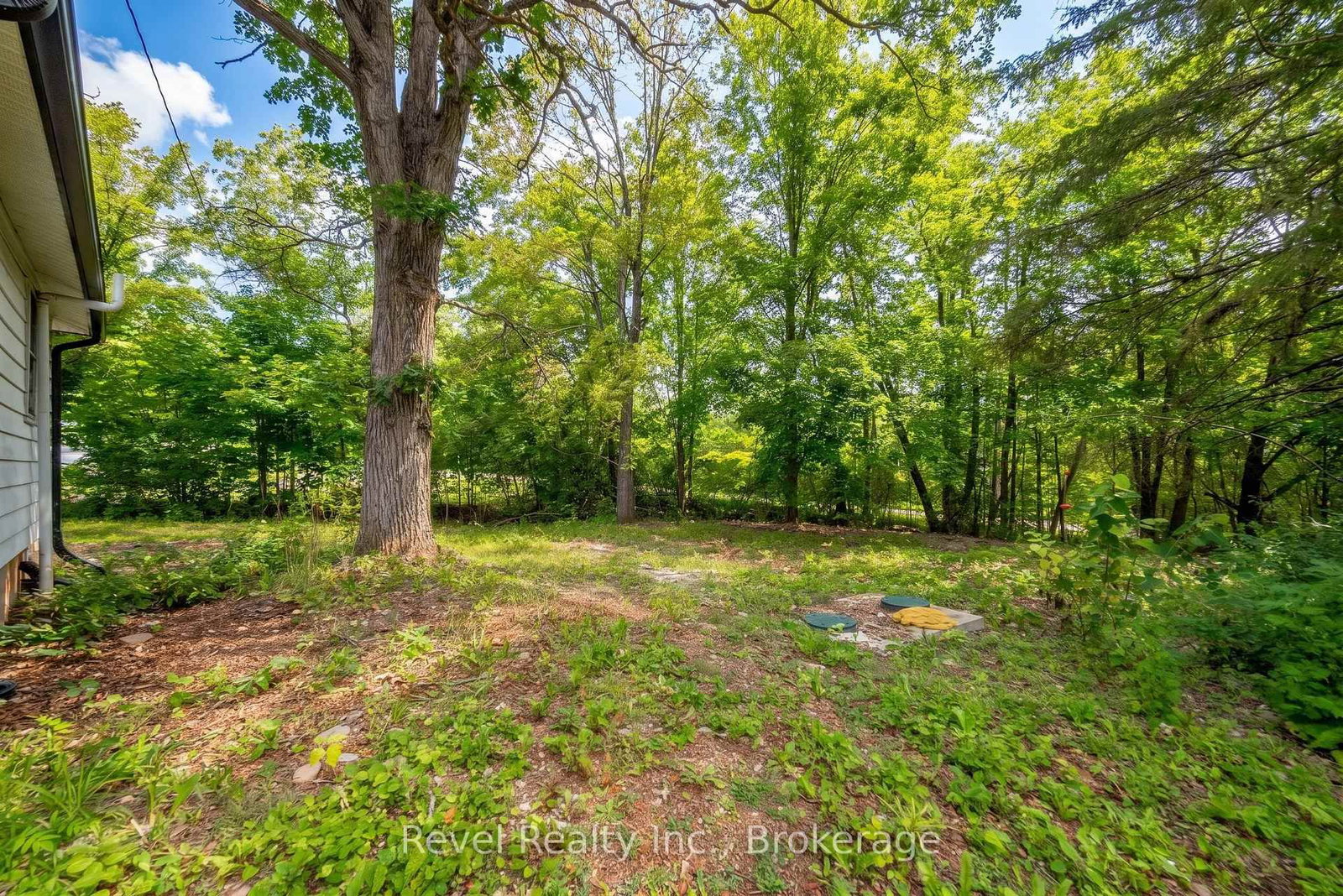4 Gypsy Point Road • Trent Lakes, ON photo 12