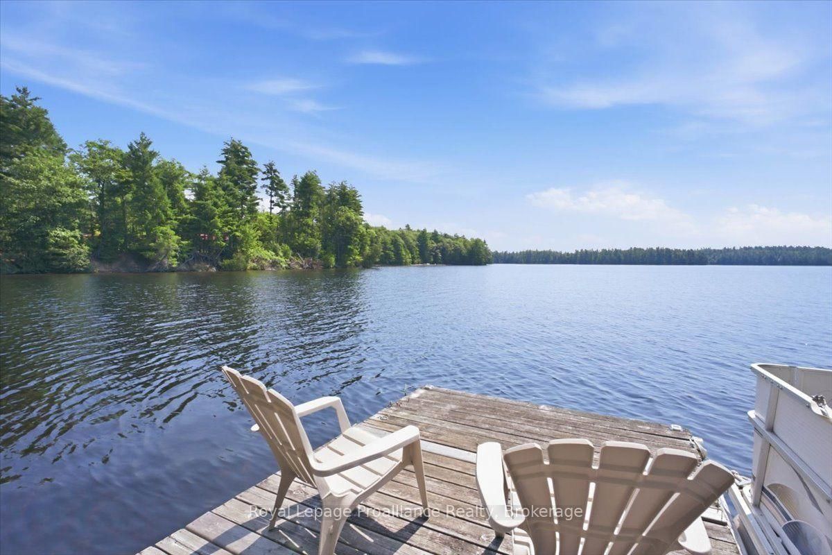 146 Skootamatta Lake • Cloyne, ON photo 34