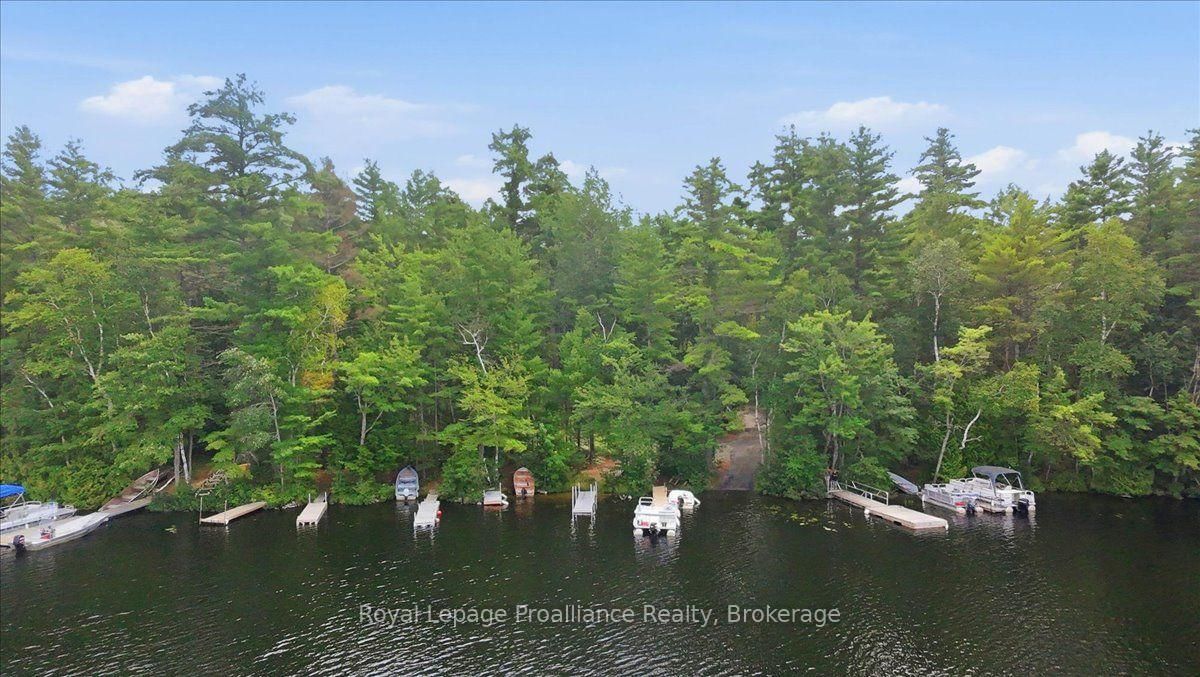 146 Skootamatta Lake • Cloyne, ON photo 37