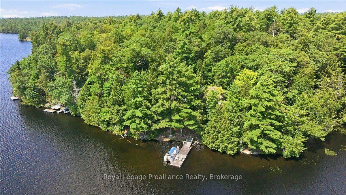 146 Skootamatta Lake • Cloyne, ON photo 39