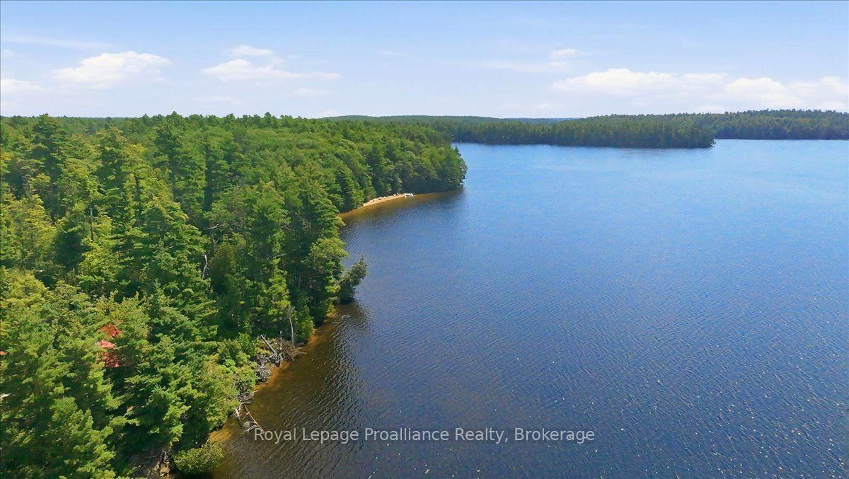 146 Skootamatta Lake • Cloyne, ON photo 41