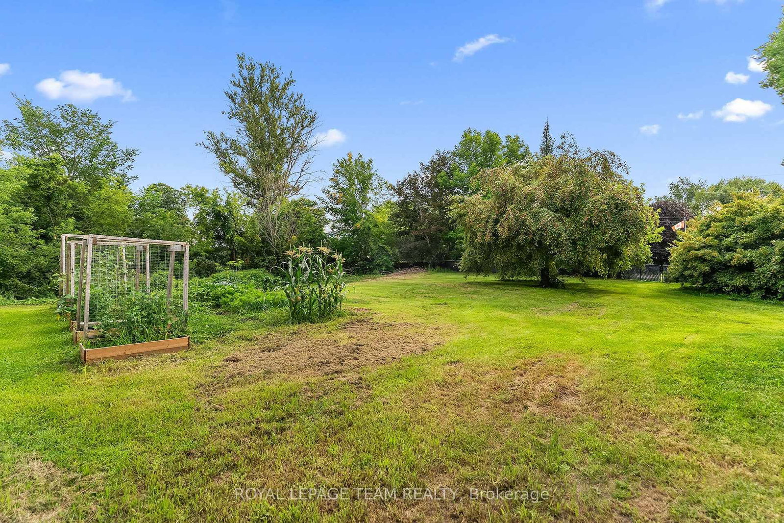 1315 Jessie Street • Westmeath, ON photo 36