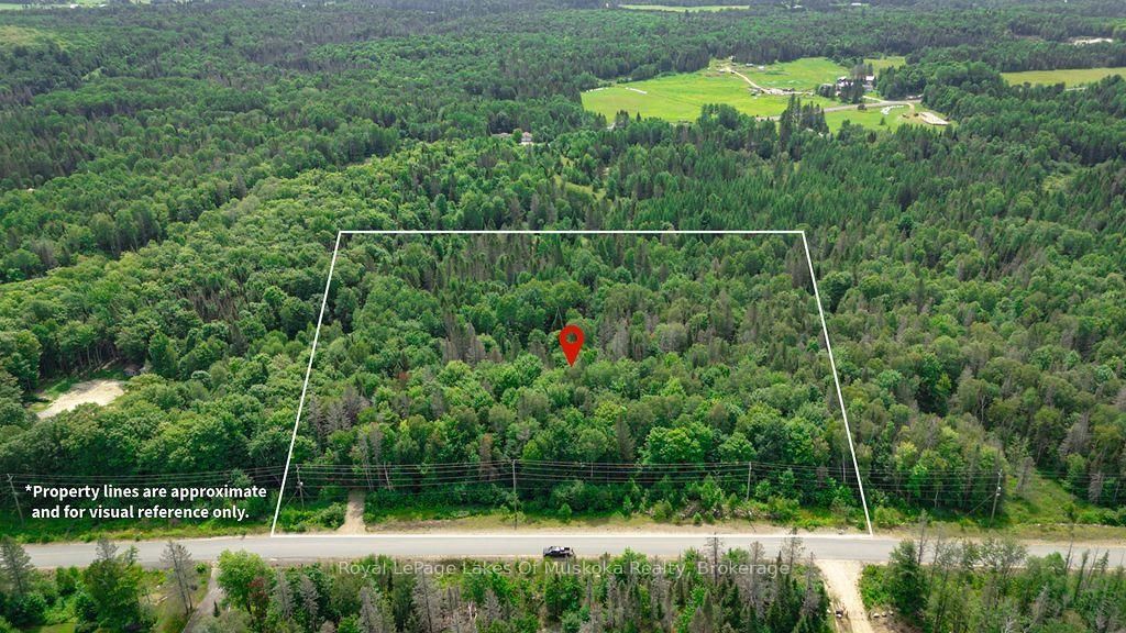 167 North Pickerel Lake Road • Armour, ON photo 1