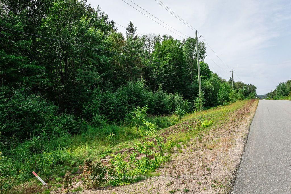 167 North Pickerel Lake Road • Armour, ON photo 17