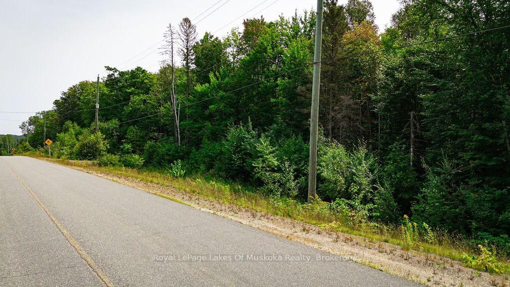 167 North Pickerel Lake Road • Armour, ON photo 18
