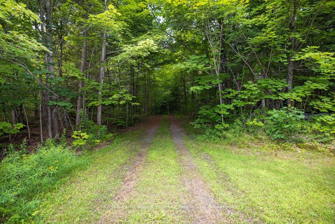 1 Five Finger Lane • Whitestone, ON photo 43