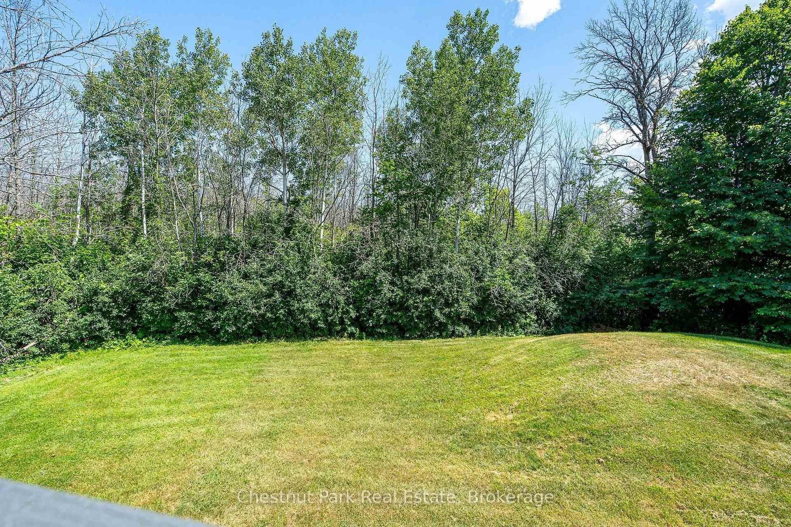 131 Martin Grove • Blue Mountains, ON photo 23