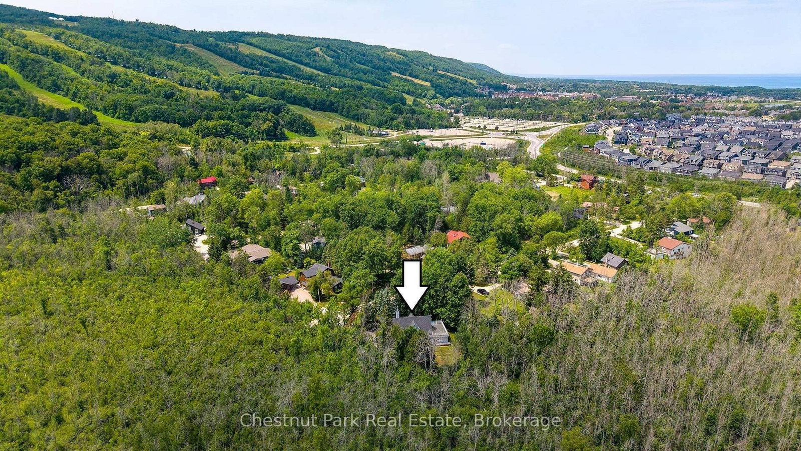 131 Martin Grove • Blue Mountains, ON photo 6