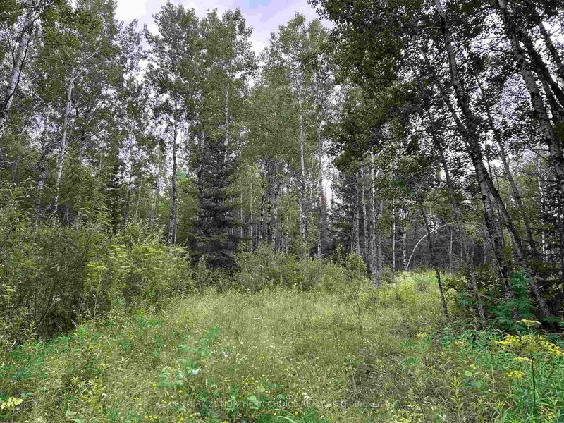 905 Frog Creek Rd photo 4