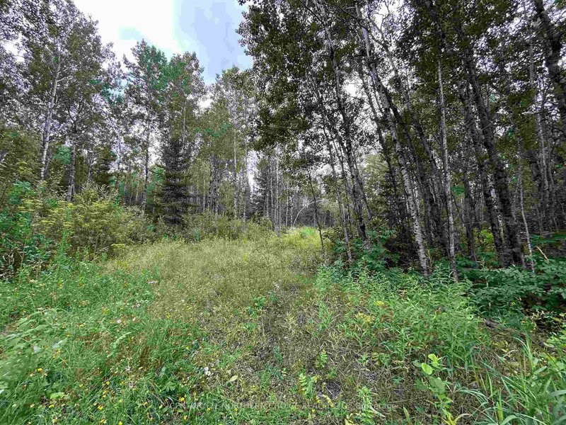 905 Frog Creek Rd photo 5