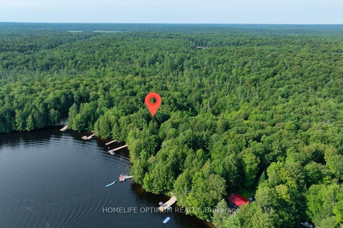 1195 Lakeshore Drive N • Bracebridge, ON photo 10