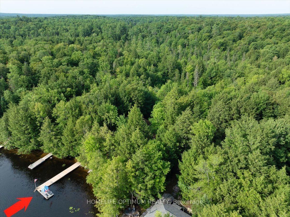 1195 Lakeshore Drive N • Bracebridge, ON photo 13