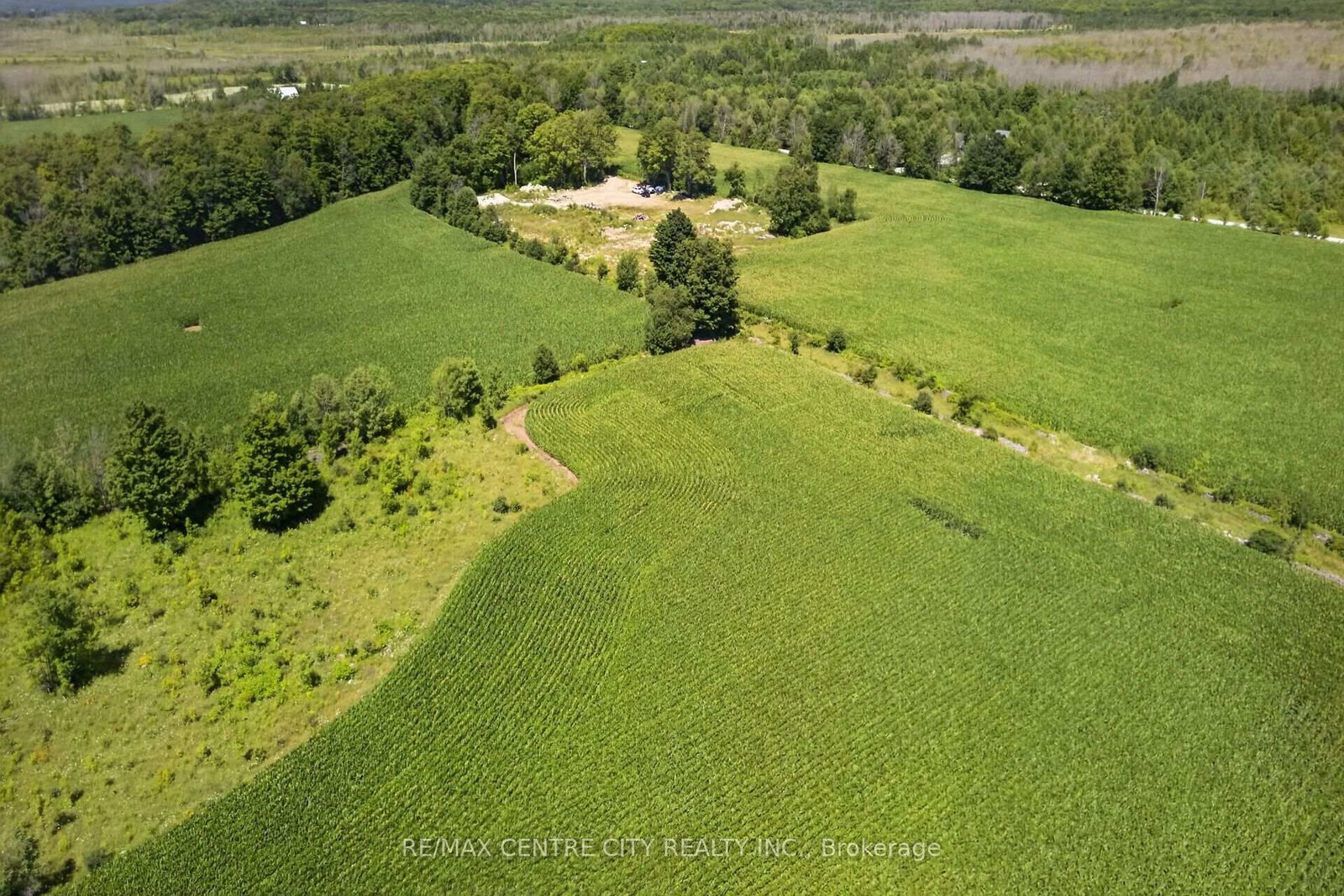 441408 Concession 21 Road • Georgian Bluffs, ON photo 6