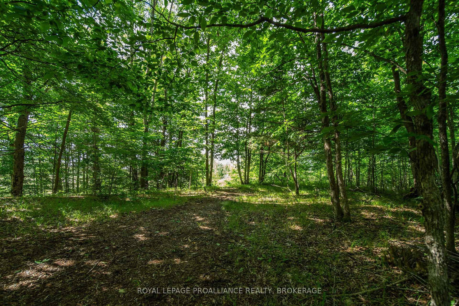 2800 Desert Lake Road • Hartington, ON photo 45