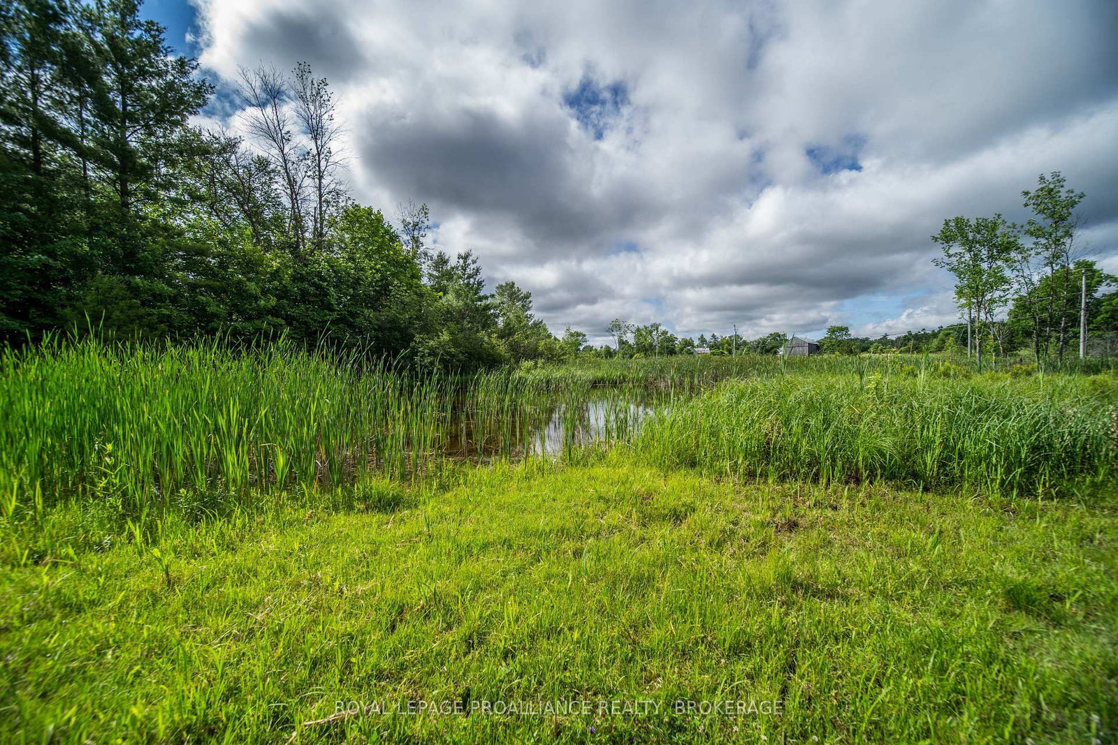 2800 Desert Lake Road • Hartington, ON photo 46