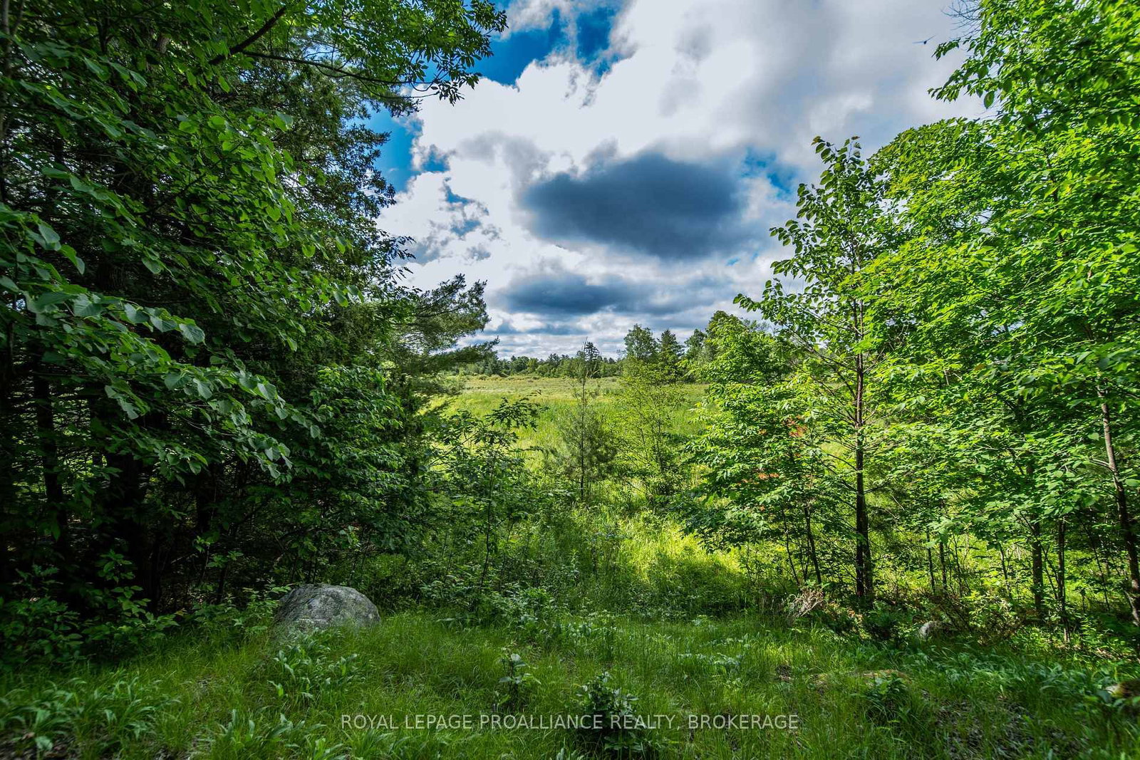 2800 Desert Lake Road • Hartington, ON photo 47