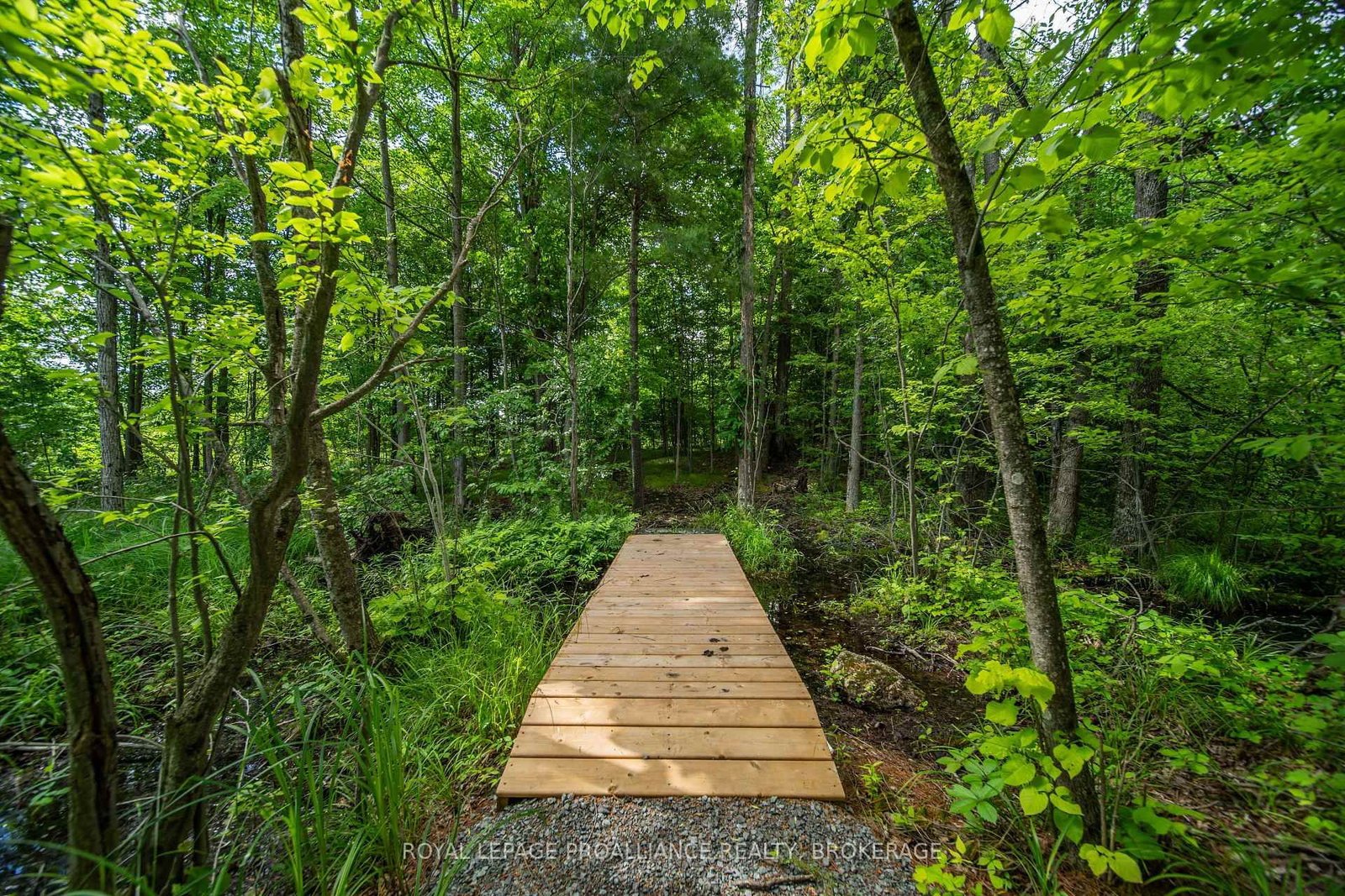 2800 Desert Lake Road • Hartington, ON photo 48