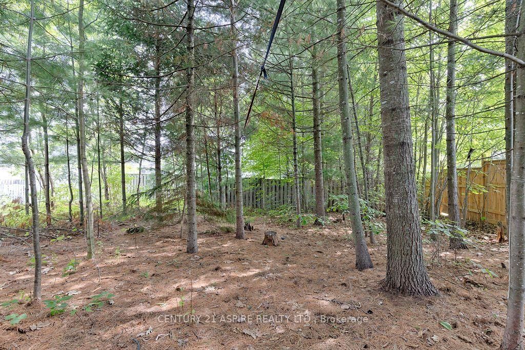 12 Bedard Boulevard • Petawawa, ON photo 35