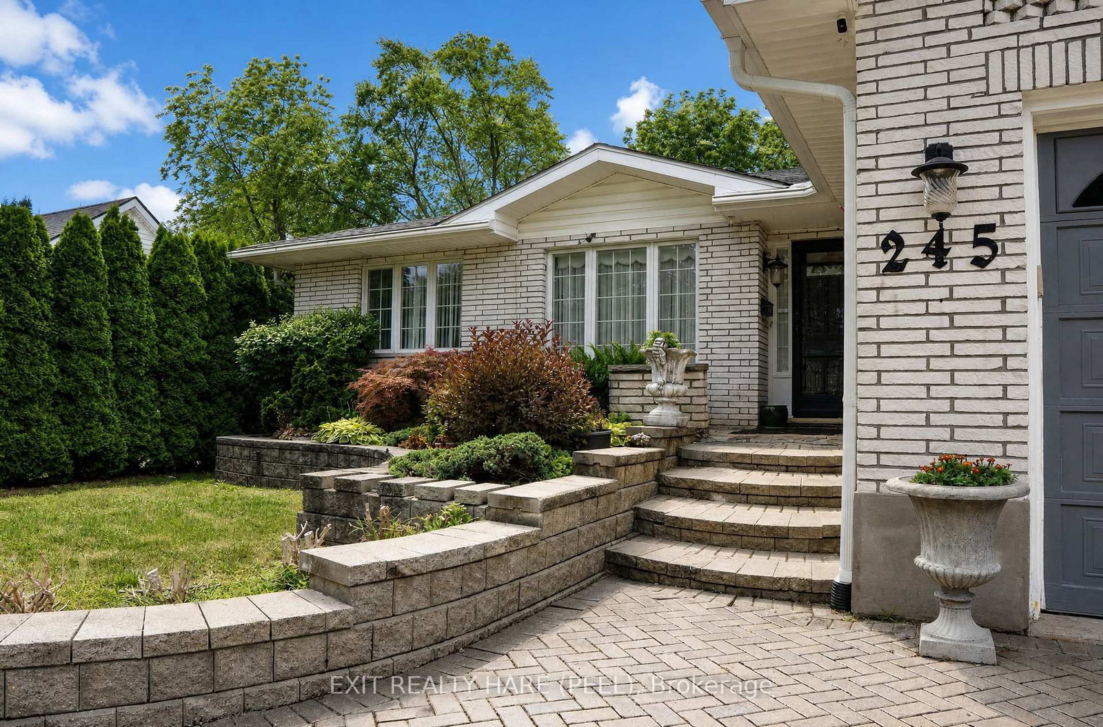 245 First Avenue • Welland, ON photo 4