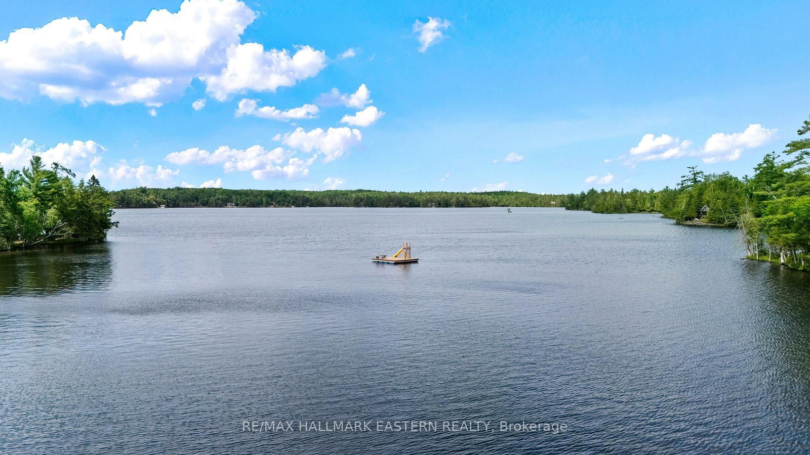 662 Fire Route 42 • North Kawartha, ON photo 27