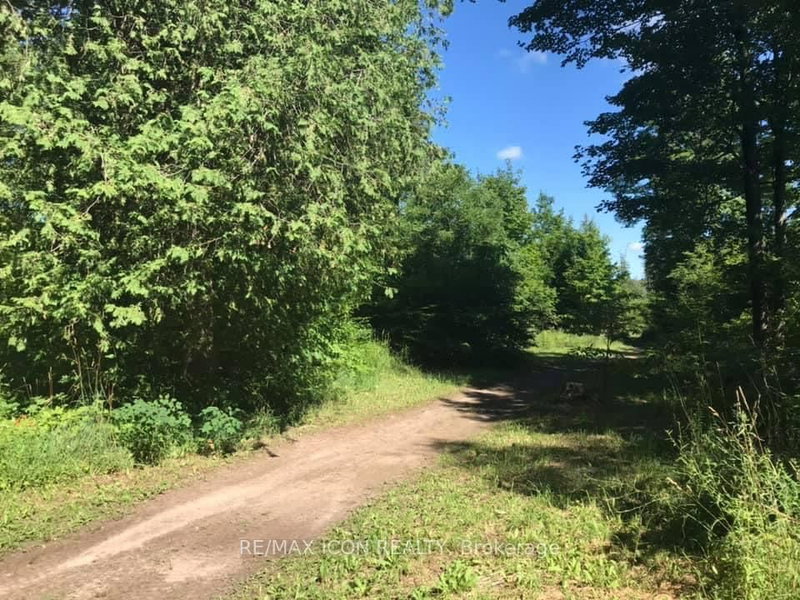 PT LT 48 CONCESSION 3 Road