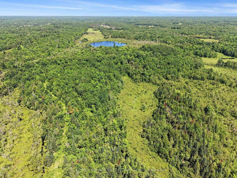0 Concession 7 Road