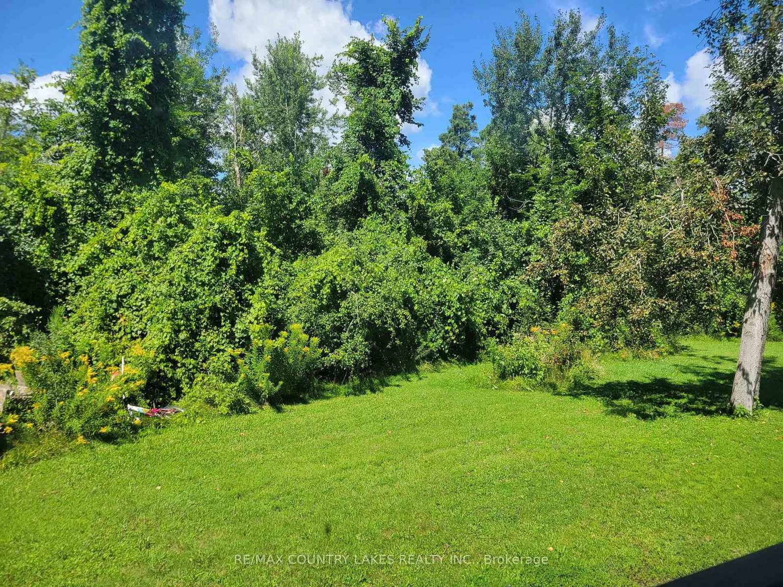 4 MACPHERSON Crescent • Kawartha Lakes, ON photo 40