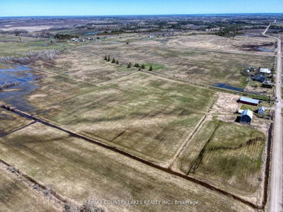 495 Eldon Station Road • Kawartha Lakes, ON photo 4