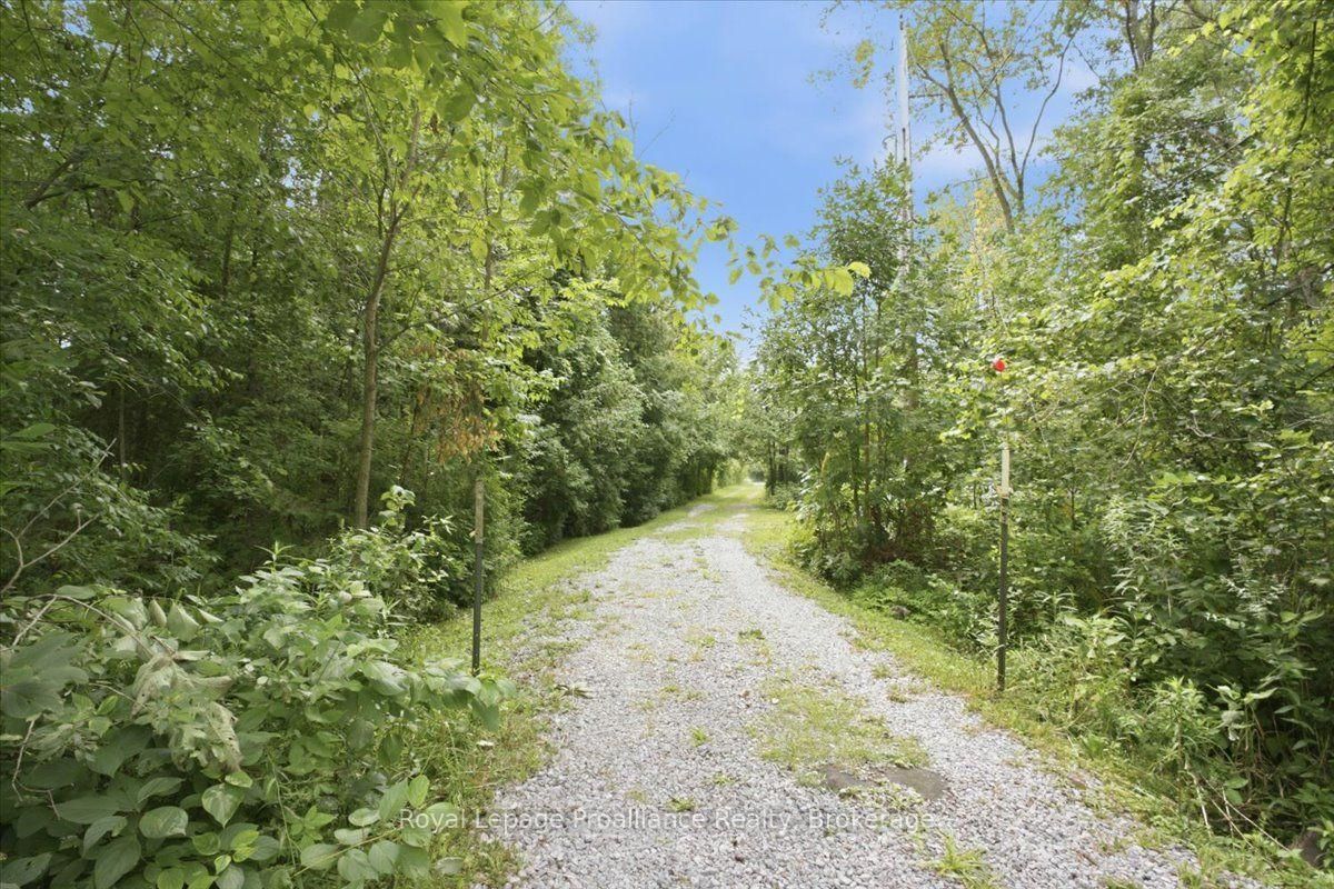 732A 13th Line W • Trent Hills, ON photo 39