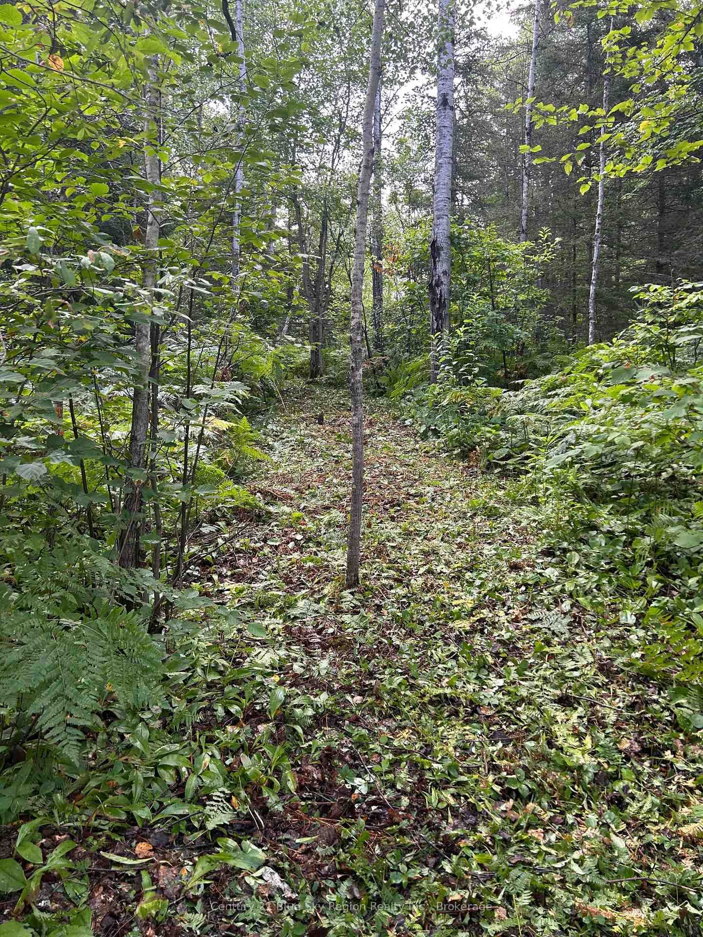 Part Lot 4 Highway 64 • West Nipissing, ON photo 11