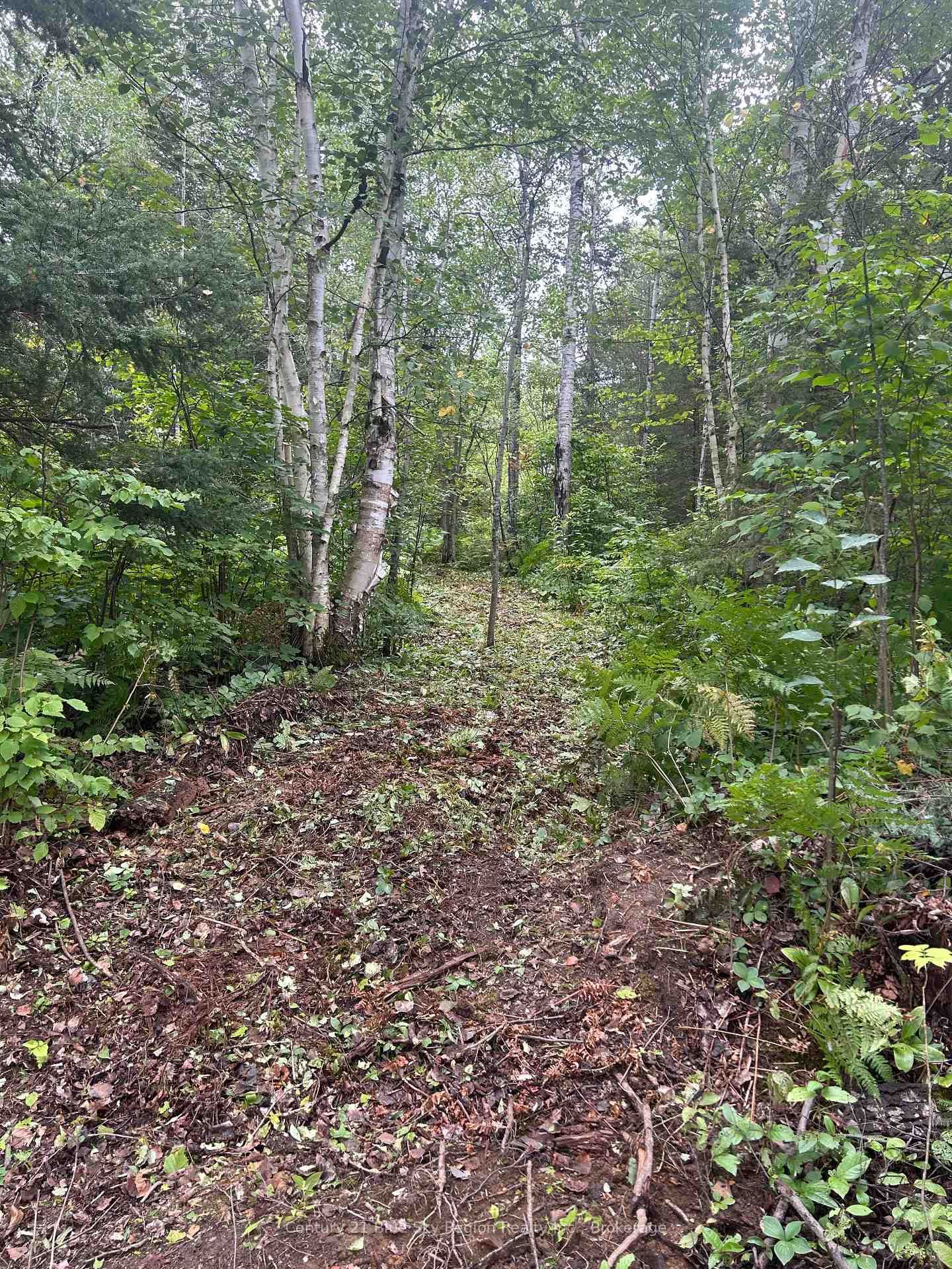 Part Lot 4 Highway 64 • West Nipissing, ON photo 12