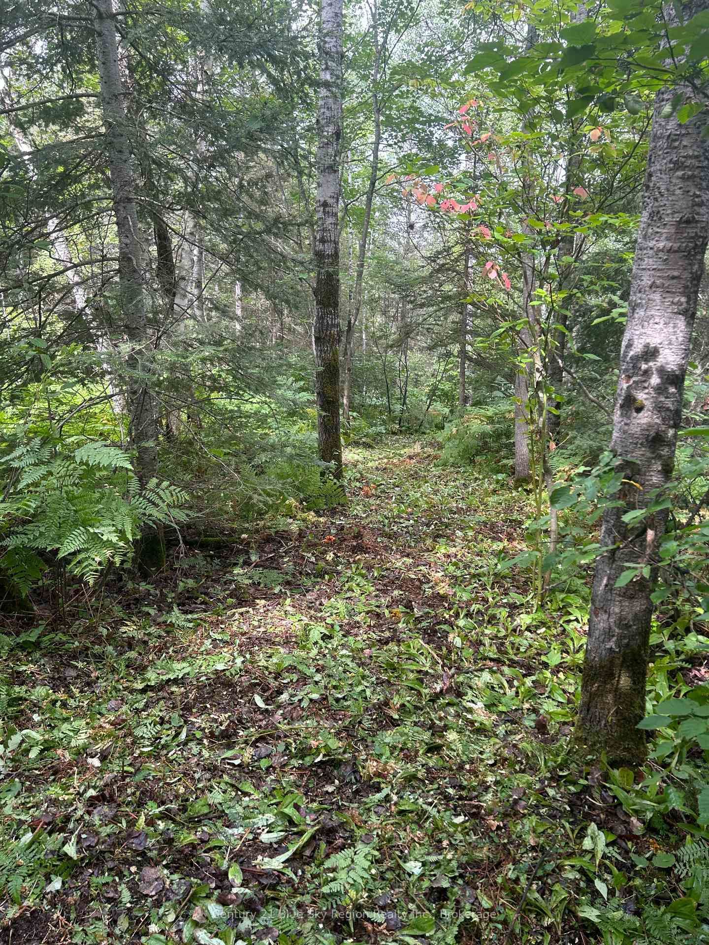 Part Lot 4 Highway 64 • West Nipissing, ON photo 13