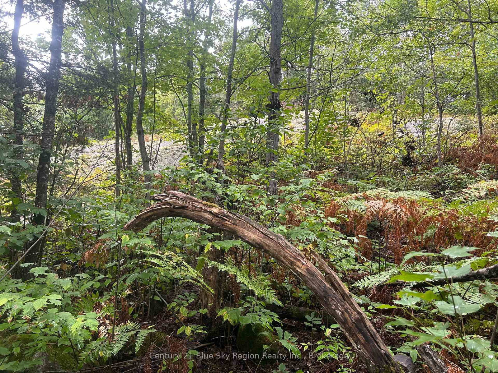 Part Lot 4 Highway 64 • West Nipissing, ON photo 14