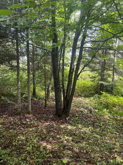Part Lot 4 Highway 64 • West Nipissing, ON photo 7
