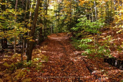 Part Lot 25 Concession 1 • Bracebridge, ON photo 4