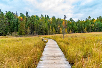 Part Lot 25 Concession 1 • Bracebridge, ON photo 5