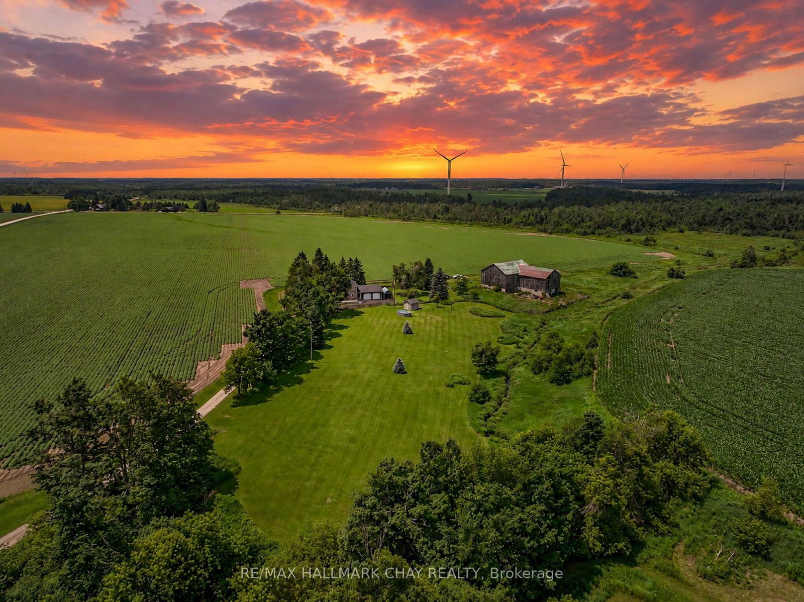 665221 20 Sideroad • Melancthon, ON photo 3