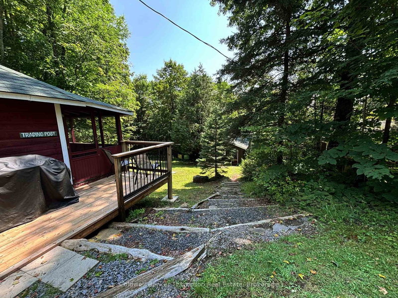1341 Billie Bear Road