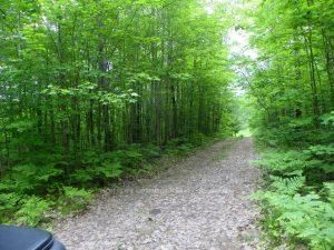 50 Acres in Mus North of Bala - PCL 31045